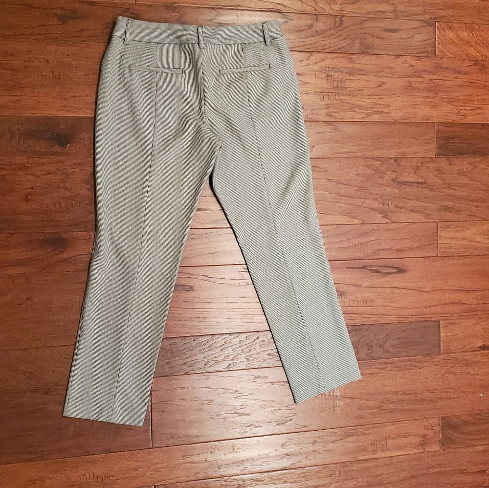 Womens Express Dress pants